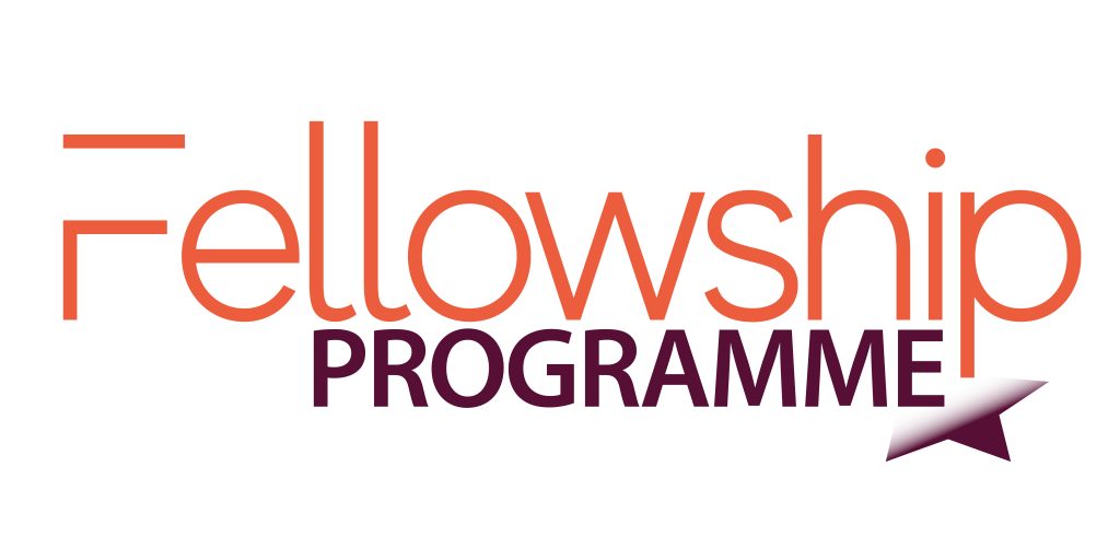 Fellowship Programme SEEDIG