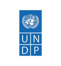 UNDP-Logo-Blue-Large-Transparent (2)